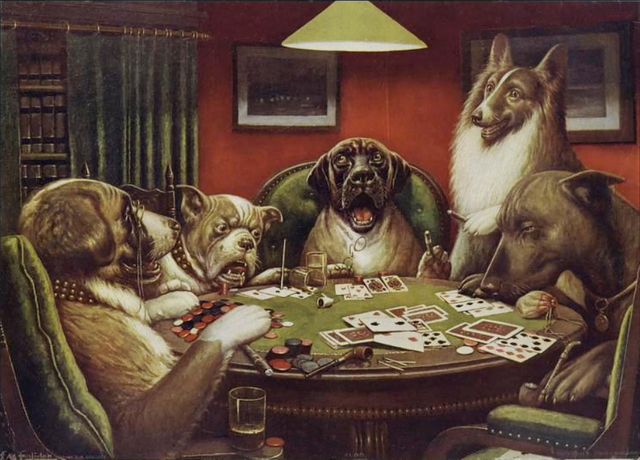 Animals