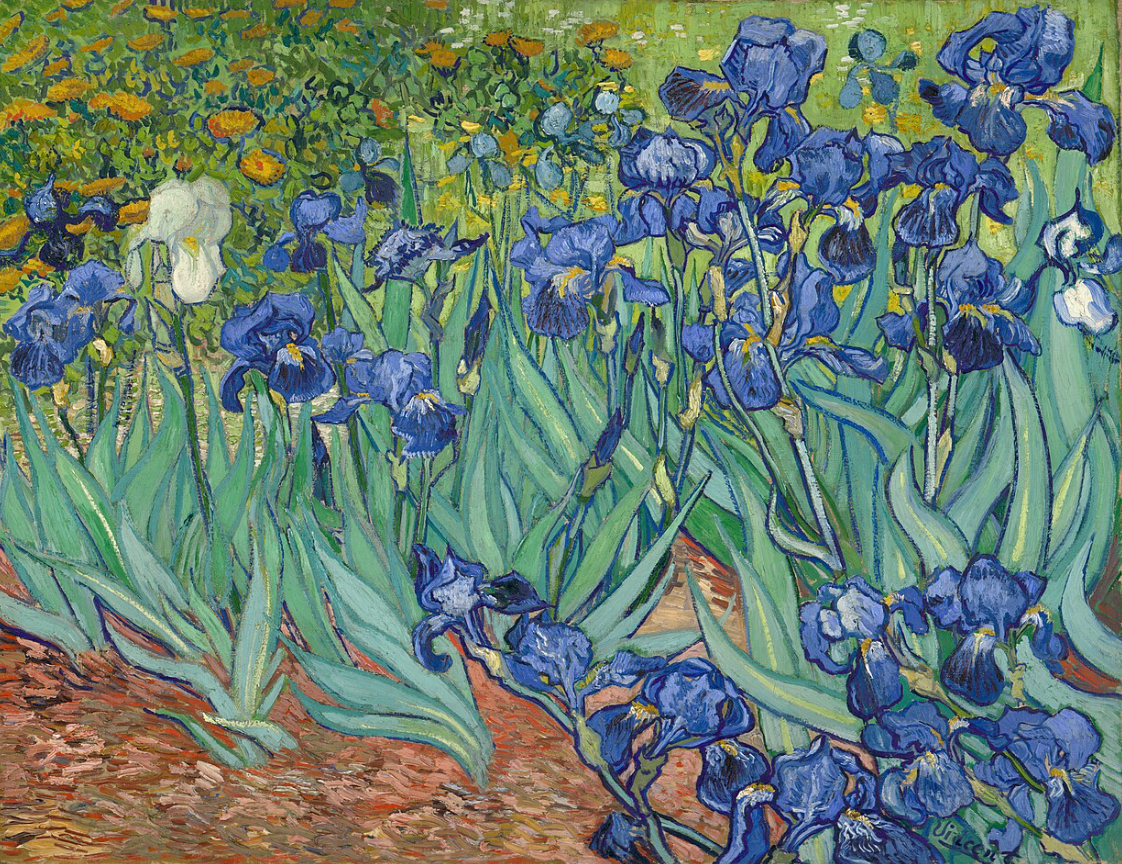 Artistic Analysis of Vincent van Gogh's Irises