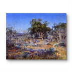 No Frame / 20*24inches