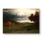 No Frame / 20*24inches