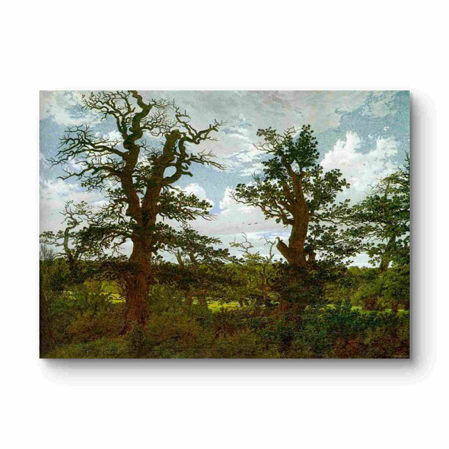"Jacob van Ruisdael's 'Twin Oaks in Serene Landscape' - Hand-Painted Dutch Golden Age Oil Painting Reproduction"
