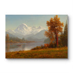 No Frame / 20*24inches