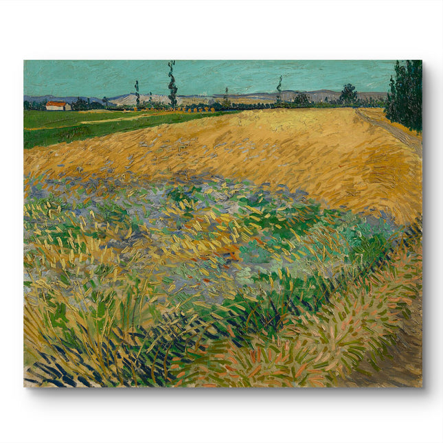 "Vincent van Gogh's 'Golden Wheat Field' - Premium Hand-Painted Oil Reproduction on Canvas"