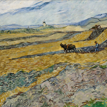 "Vincent van Gogh's 'Ploughman in Wheat Field' - Premium Hand-Painted Oil Reproduction on Canvas"