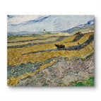 No Frame / 20*24inches
