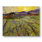No Frame / 20*24inches