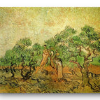 No Frame / 20*24inches