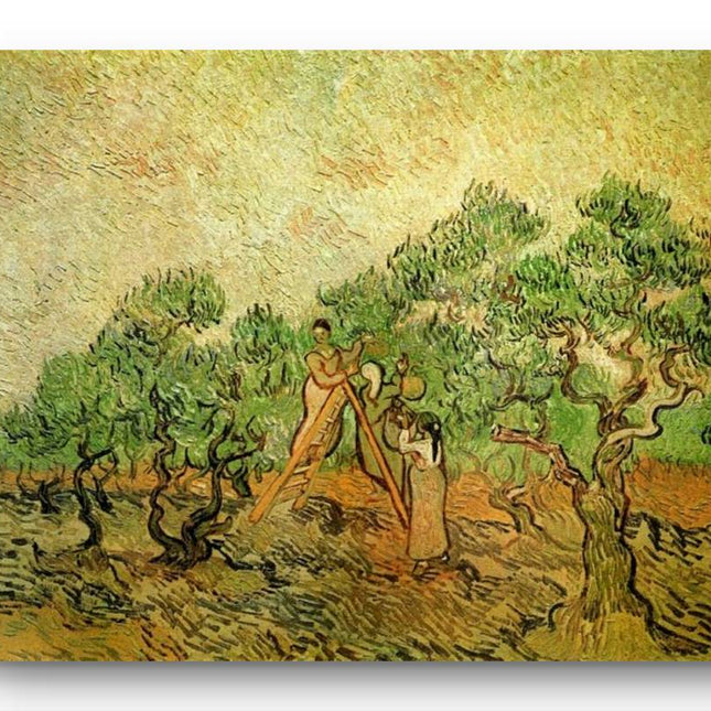 "Vincent van Gogh's 'Olive Grove with Two Olive Pickers' - Premium Hand-Painted Oil Reproduction on Canvas"