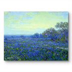 No Frame / 20*24inches