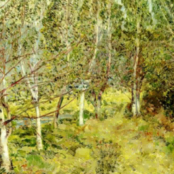 "Childe Hassam's 'Serene Birch Forest' Landscape - Hand-Painted Oil Painting Reproduction"