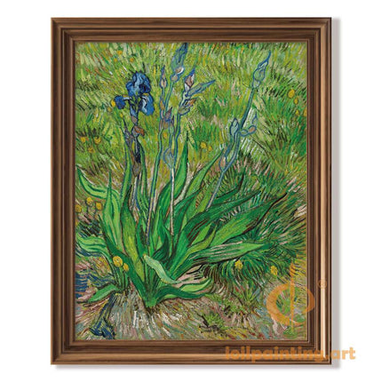 "Vincent van Gogh's 'Irises in Bloom' - Premium Hand-Painted Oil Reproduction on Canvas"