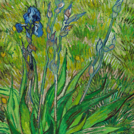 "Vincent van Gogh's 'Irises in Bloom' - Premium Hand-Painted Oil Reproduction on Canvas"
