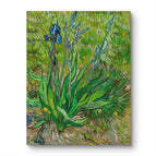 No Frame / 20*24inches