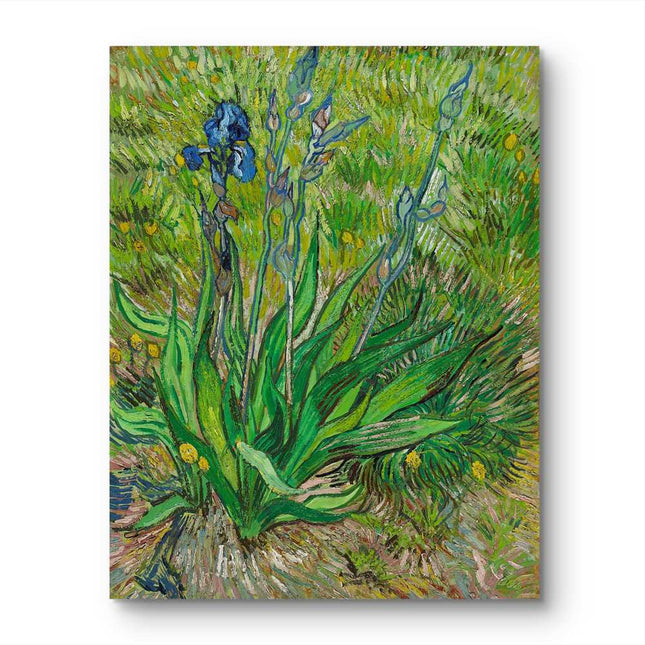 "Vincent van Gogh's 'Irises in Bloom' - Premium Hand-Painted Oil Reproduction on Canvas"