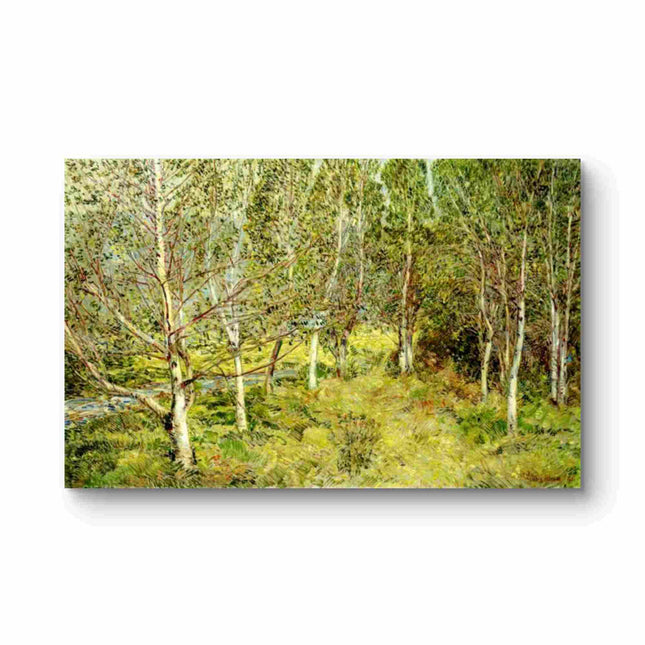 "Childe Hassam's 'Serene Birch Forest' Landscape - Hand-Painted Oil Painting Reproduction"