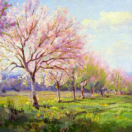 "Spring Blossom Avenue - Premium Hand-Painted Oil Reproduction on Canvas"