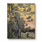 No Frame / 20*24inches