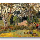 No Frame / 20*24inches