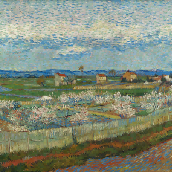 "Vincent van Gogh's 'Spring Blossoms in Provence' - Premium Hand-Painted Oil Reproduction on Canvas"