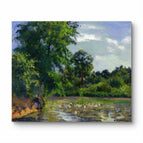 No Frame / 20*24inches
