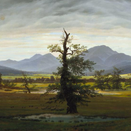"Caspar David Friedrich's 'The Solitary Oak' - Hand-Painted Romantic Oil Painting Reproduction"