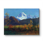 No Frame / 20*24inches