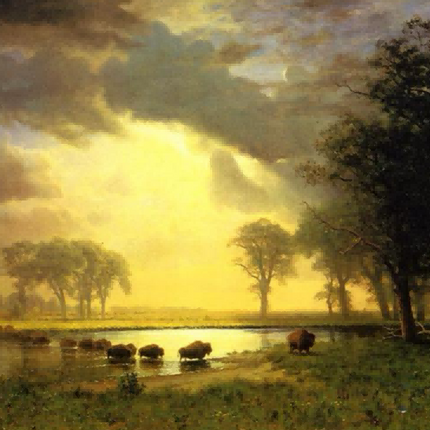 "Albert Bierstadt's 'Bison at Watering Hole' - Hand-Painted Landscape Oil Painting Reproduction"