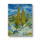 No Frame / 20*24inches