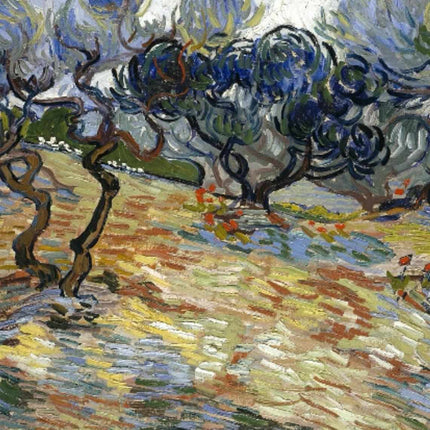 "Vincent van Gogh's 'Olive Trees in Provence' - Premium Hand-Painted Oil Reproduction on Canvas"
