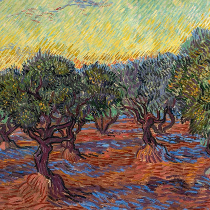 "Vincent van Gogh's 'Olive Grove with Purple Trunks' - Premium Hand-Painted Oil Reproduction on Canvas"