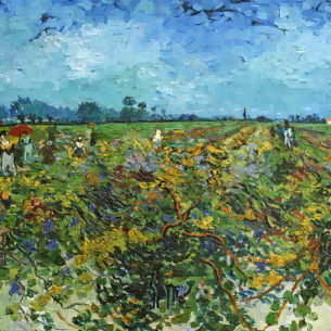 "Vincent van Gogh's 'The Vineyard at Montmajour' - Premium Hand-Painted Oil Reproduction on Canvas"