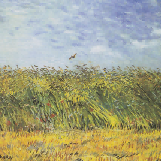 "Vincent van Gogh's 'Golden Wheat Field with Flying Bird' - Premium Hand-Painted Oil Reproduction on Canvas"