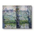 No Frame / 20*24inches