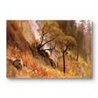 No Frame / 20*24inches