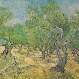 "Vincent van Gogh's 'Olive Grove with Cypress Trees' - Premium Hand-Painted Oil Reproduction on Canvas"