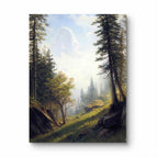 No Frame / 20*24inches