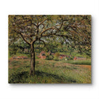 No Frame / 20*24inches
