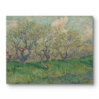 No Frame / 20*24inches