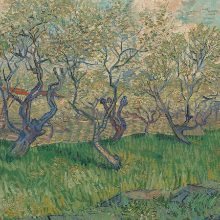 "Vincent van Gogh's 'Orchard in Blossom' - Premium Hand-Painted Oil Reproduction on Canvas"