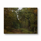 No Frame / 20*24inches