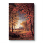 No Frame / 20*24inches